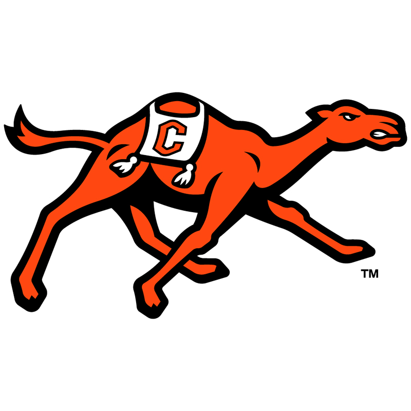 Campbell Fighting Camels iron ons